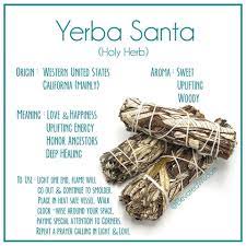 Xô thơm thánh thảo mộc Yerba Santa các loại thanh tẩy nhà cửa (Yerba Santa Sage smudge stick)