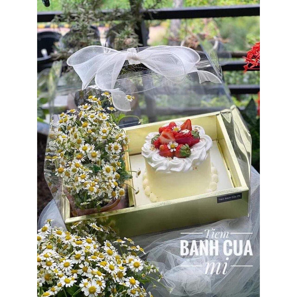 Hộp mica trong đựng hoa bánh làm quà tặng