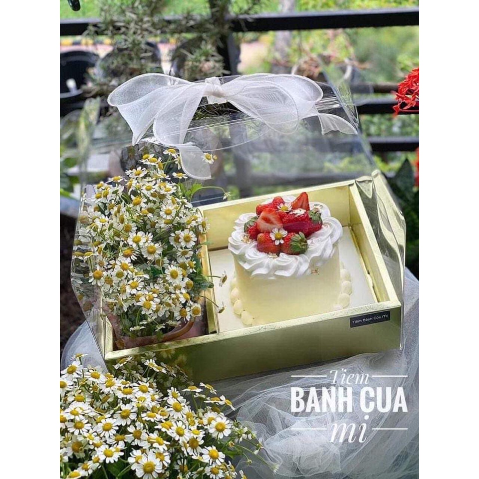 Hộp mica trong đựng hoa bánh làm quà tặng đế bánh 17.5cm