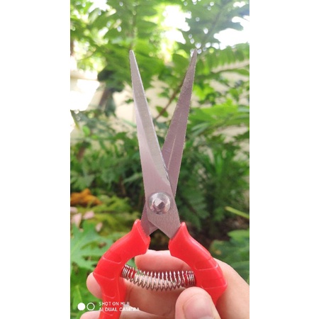 Kéo cắt tỉa cành, cắt tỉa hoa dài 20 cm lưỡi răng cưa