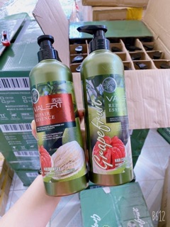 Cặp dầu gội xả bưởi Grape Fruit