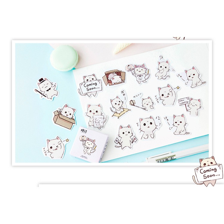 Hộp 45 miếng sticker mẫu mèo trắng đáng yêu