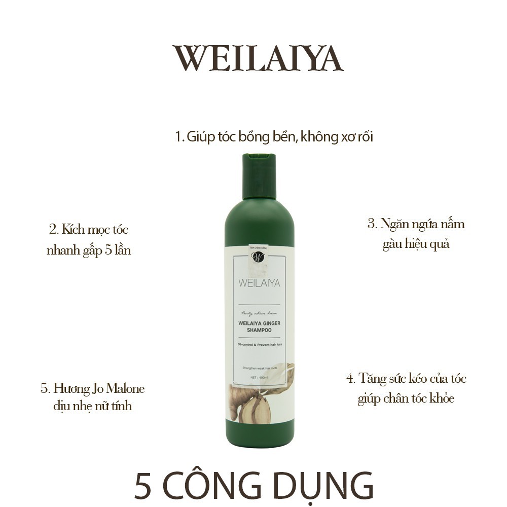 Dầu gội đầu Weilaiya tinh chất gừng hỗ trợ mọc tóc và ngăn rụng tóc 400ml, dầu gội welaiya, dầu gừng , dầu gội tem trắng