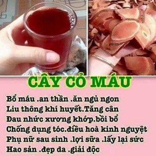 Combo 2 kg cỏ máu cho khách 