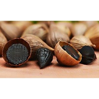 Máy làm tỏi đen Tiross TS907