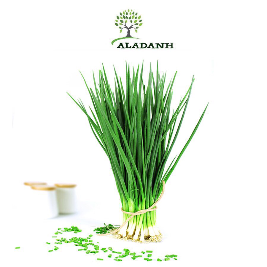Tổng hợp 100 loạt hạt giống rau củ quả độ nảy mầm tốt, chịu nhiệt tốt, dễ trồng, thích hợp mọi khí hậu