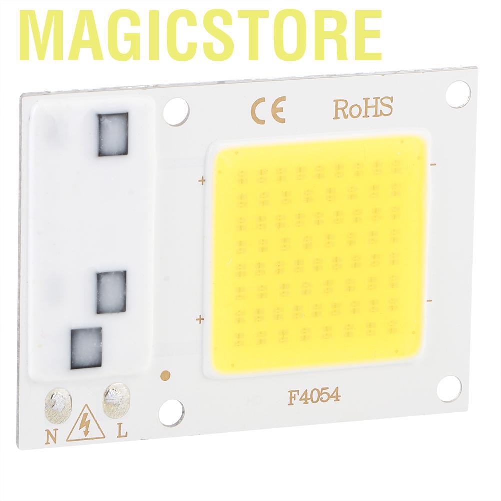 Chip Đèn Led Sân Vườn Ánh Sáng Trắng Cao Cấp