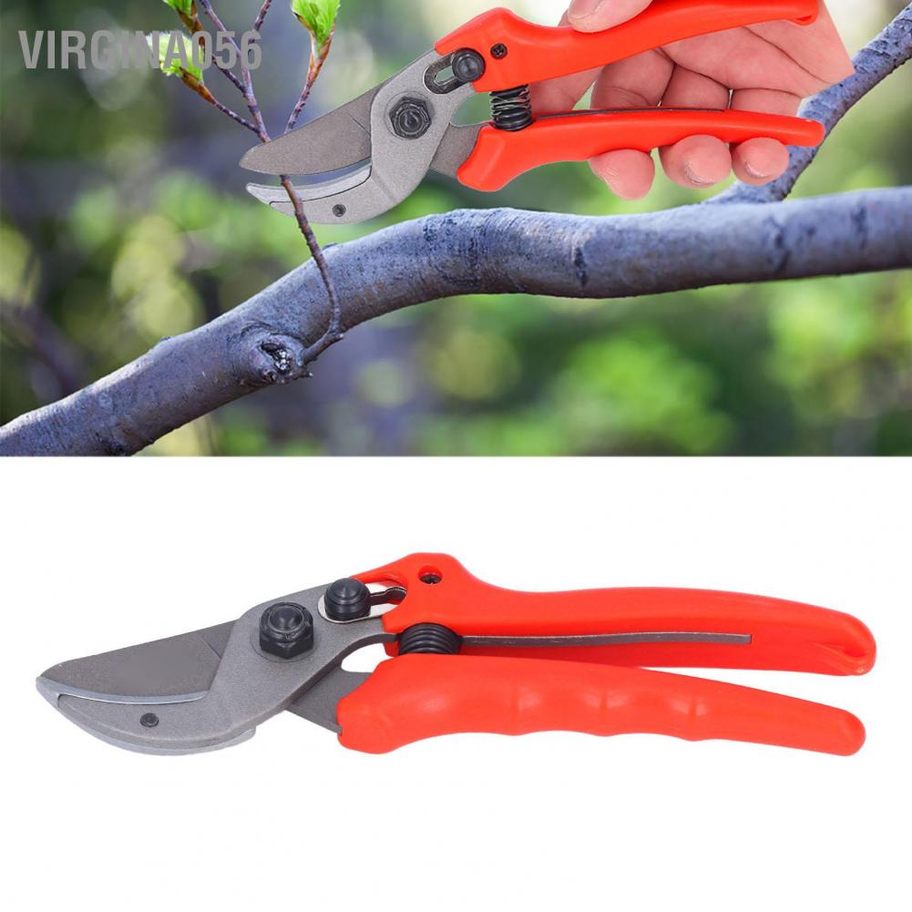 Có thể bán buôn Làm vườn kéo cắt cành trái cây kéo cắt tỉa dụng cụ làm vườn kéo cắt tỉa cành Virgina056 Hàng giao ngay