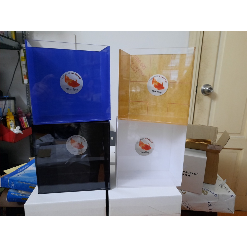 Hồ Show cá Betta mica siêu trong, Bể Show cá Guppy siêu trong Acrylic, Keo Quay cá Betta 12x7x12 giá xưởng (combo 10 hồ)