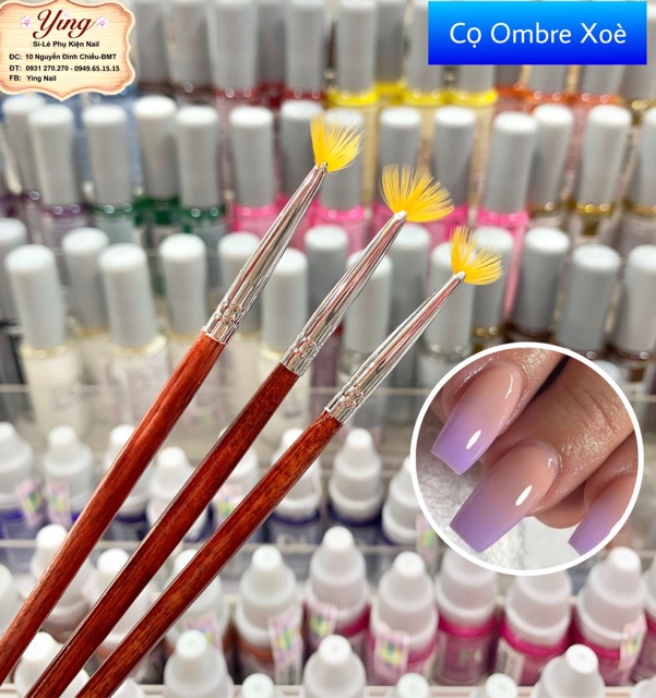 Cọ Ombre 2 Loại