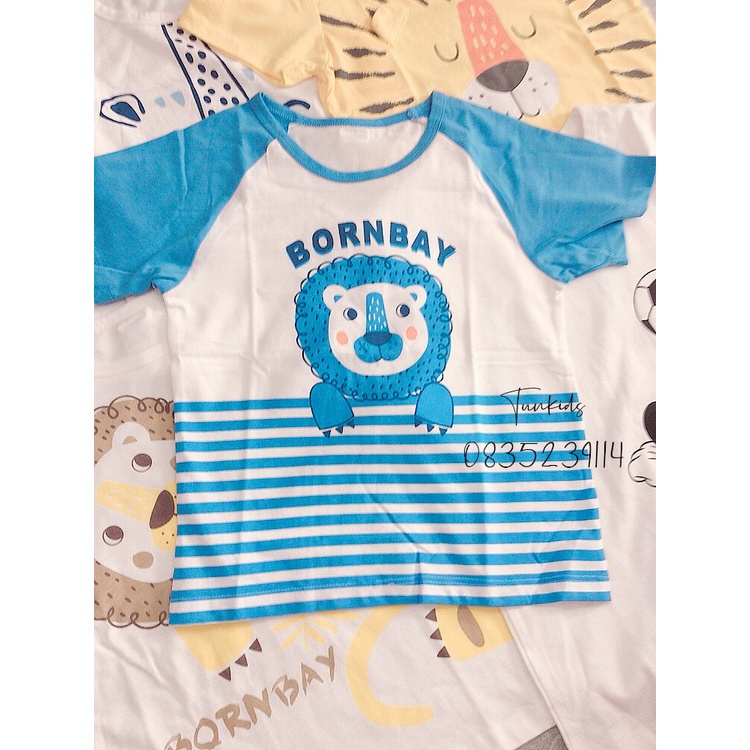 Áo cotton cộc tay chuẩn hãng mềm đẹp