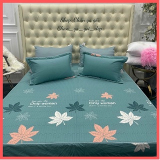 Ga gối cotton trần bông, drap cotton trải giường Bambiloo