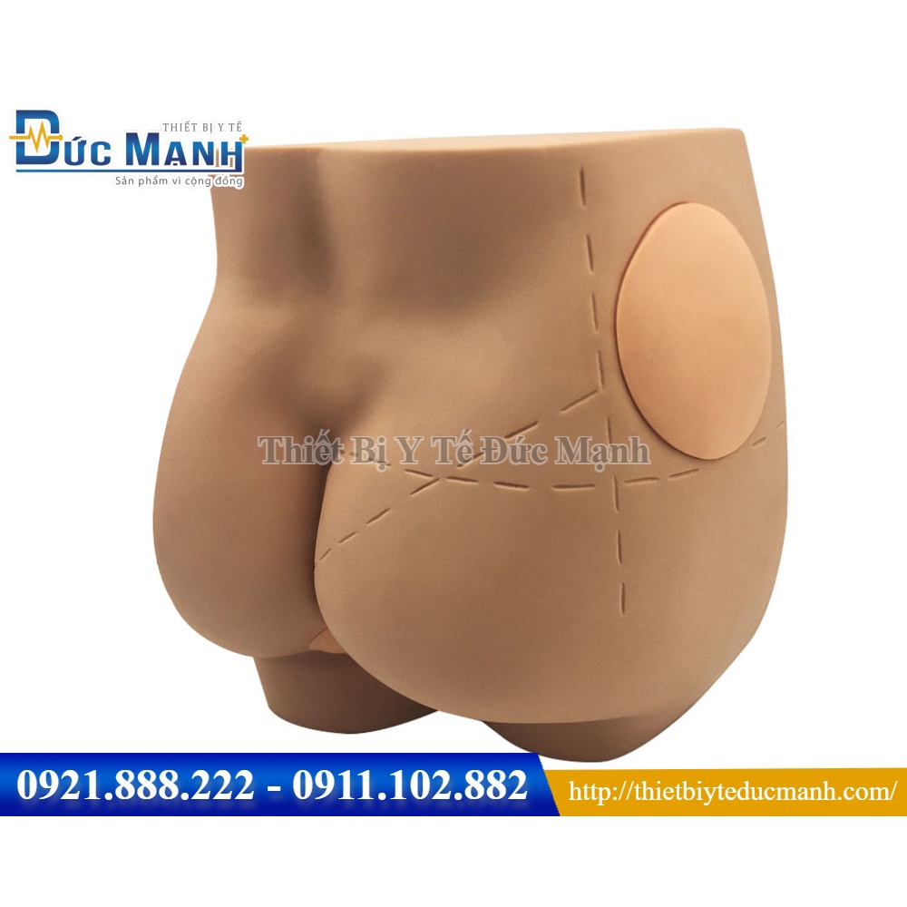 Mô hình tiêm mông kèm thụt tháo