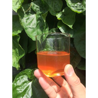 Mật Ong Rừng Tràm U Minh.