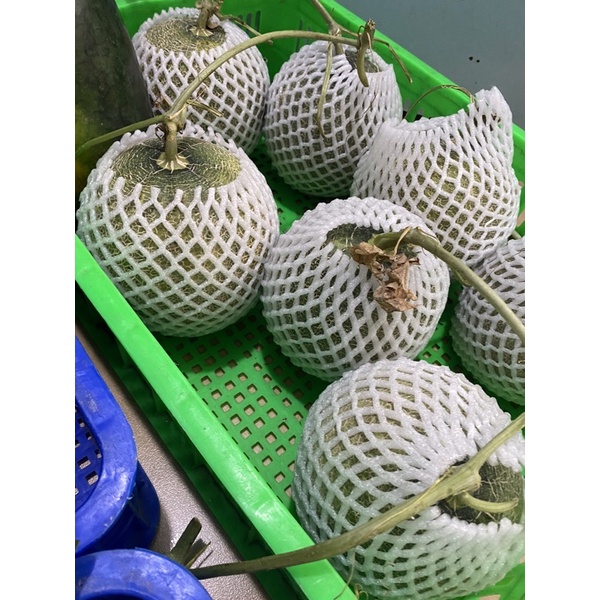 DƯA LƯỚI 1KG