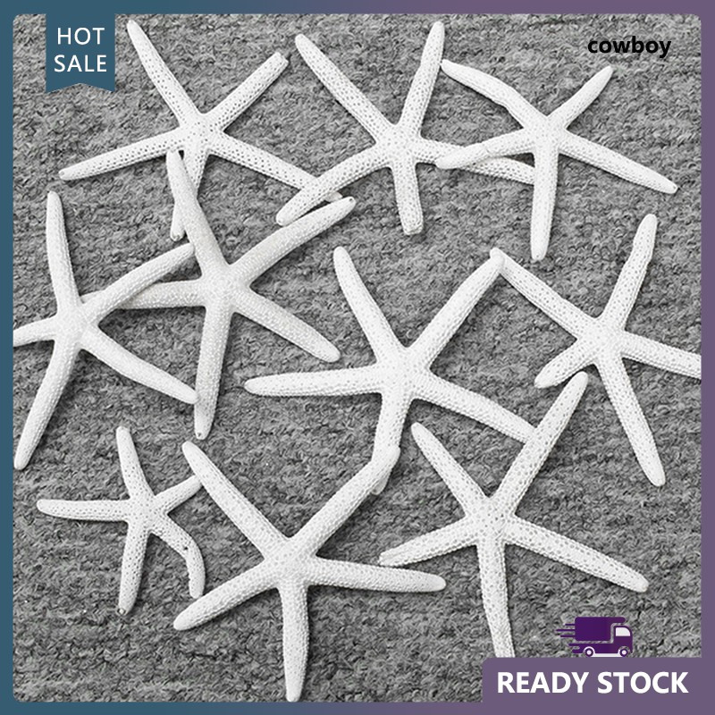 Sao Biển Nhân Tạo Bằng Nhựa Thân Thiện Với Môi Trường Dùng Trang Trí DIY