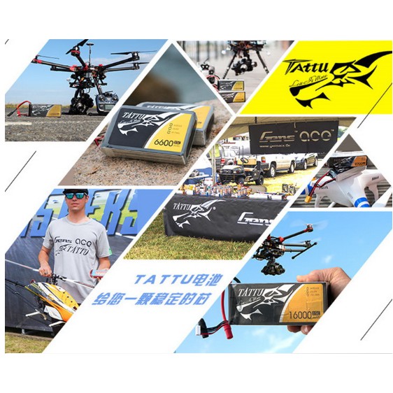 Pin ACE TATTU 22000mah 6s 22.2v pin 25c