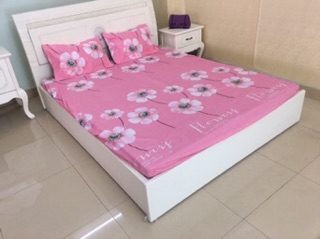 Sét ga gối M8