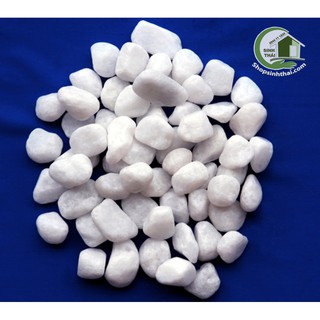 1kg đá sỏi màu trắng lớn - đá  trang trí trồng cây - trang trí bể cá - sân vườn