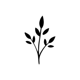 Khuôn decal lá cây