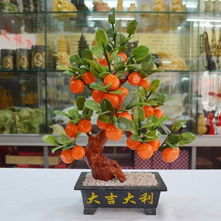CÂY CAM ĐÁ PHONG THỦY