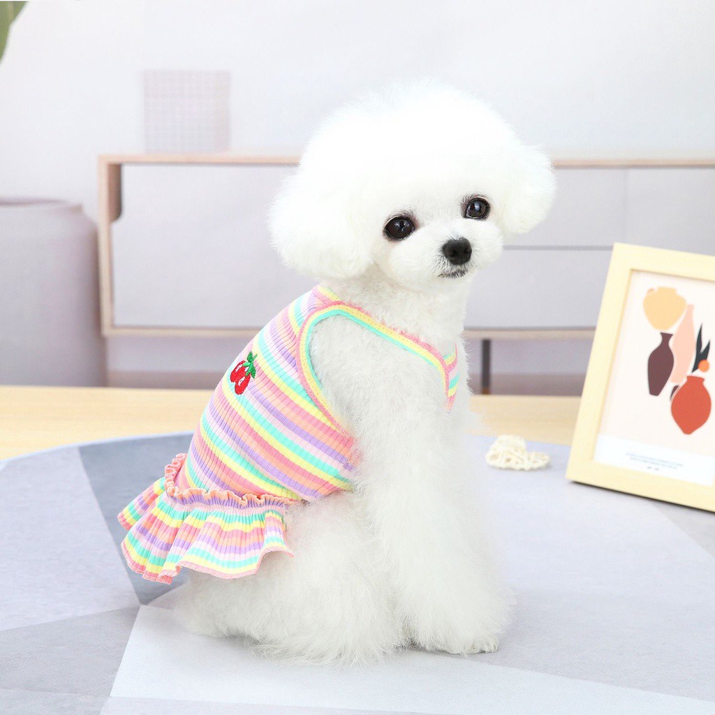 Đầm công chúa không tay bằng cotton họa tiết cầu vồng cherry phối ren dành cho thú cưng nhỏ vừa dễ thương