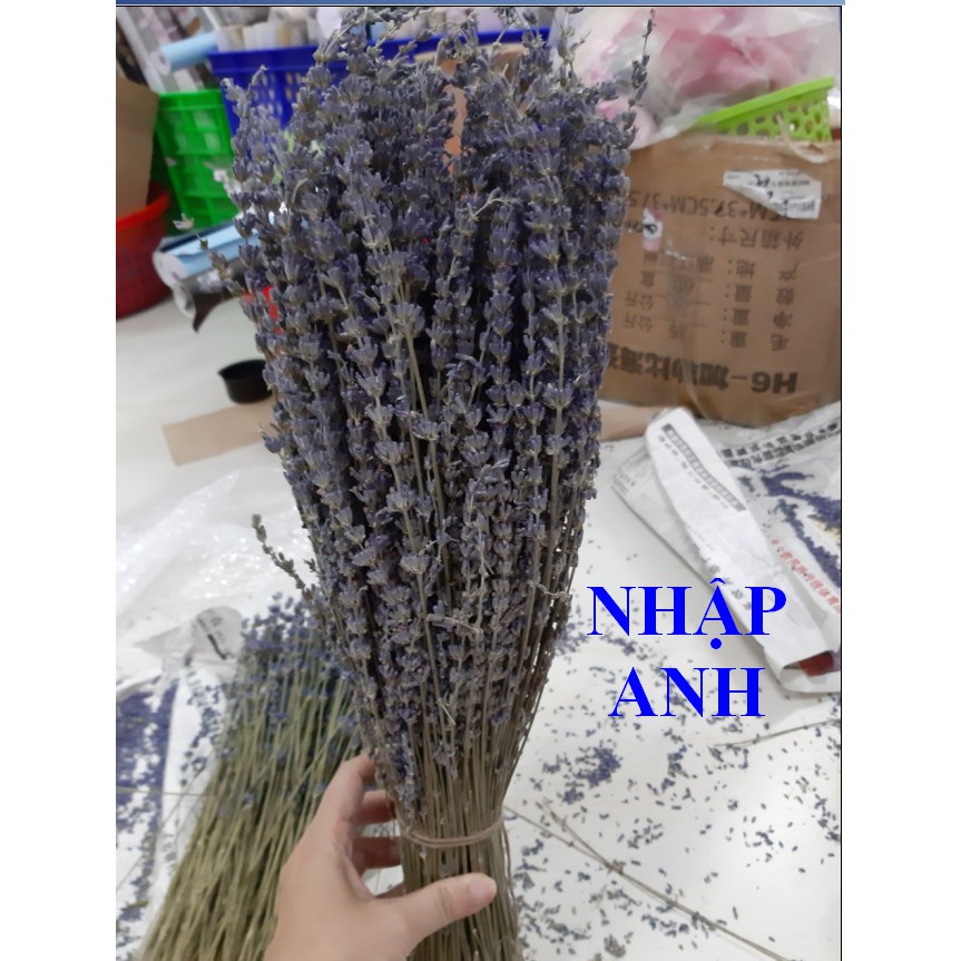 Bó hoa khô hoa lavender 130g (nhập Anh, nhập Pháp) KÈM VIDEO HÌNH THẬT, tặng kèm túi thơm