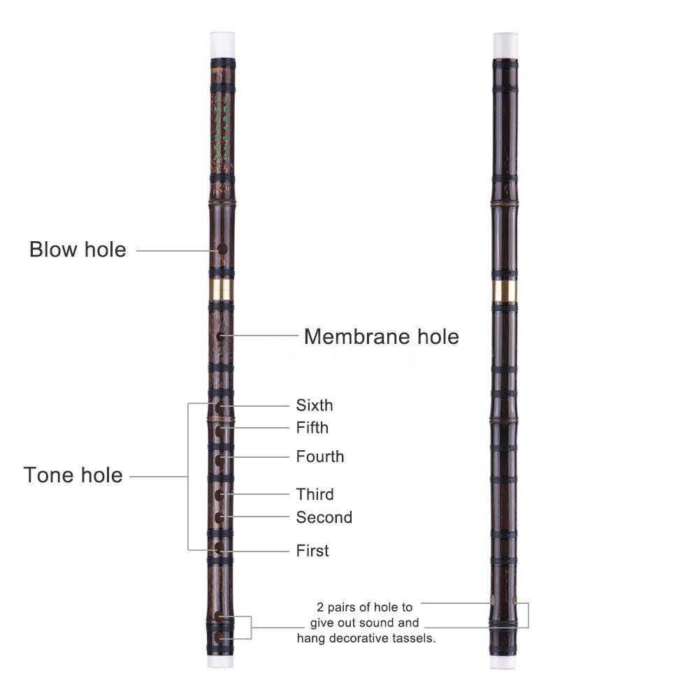 SQC Pluggable Handmade Bitter Bamboo Flute/Dizi Traditional Chinese Musical Woodwind Instrument in F Key for Beginner St