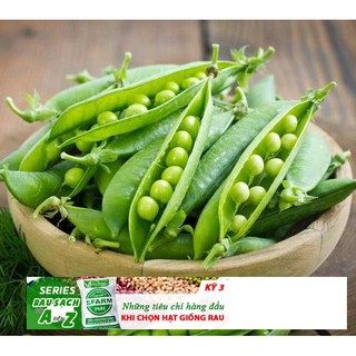 GÓI 10 Hạt giống Đậu Hà Lan dễ trồng năng suất 10 HẠT