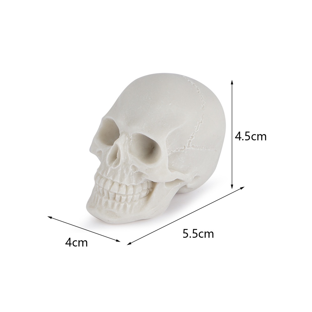 Mô HìNh ĐầU Lâu Trang Trí Bể Cá