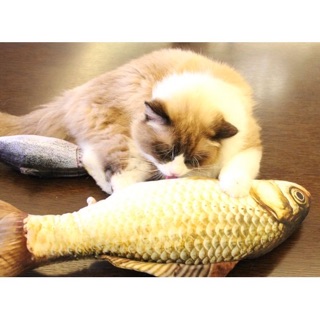 Cá catnip đồ chơi cho mèo