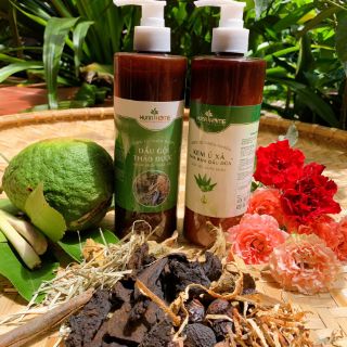 dầu gội thảo dược