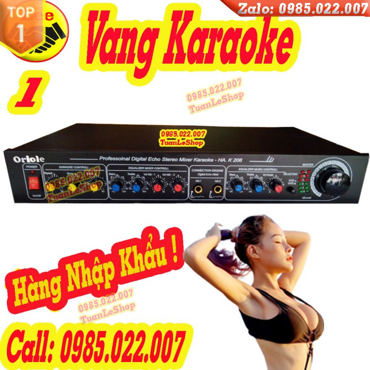 VANG KARAOKE GIA ĐÌNH K206 – HÀNG NHẬP KHẨU – GIÁ 01 CHIẾC