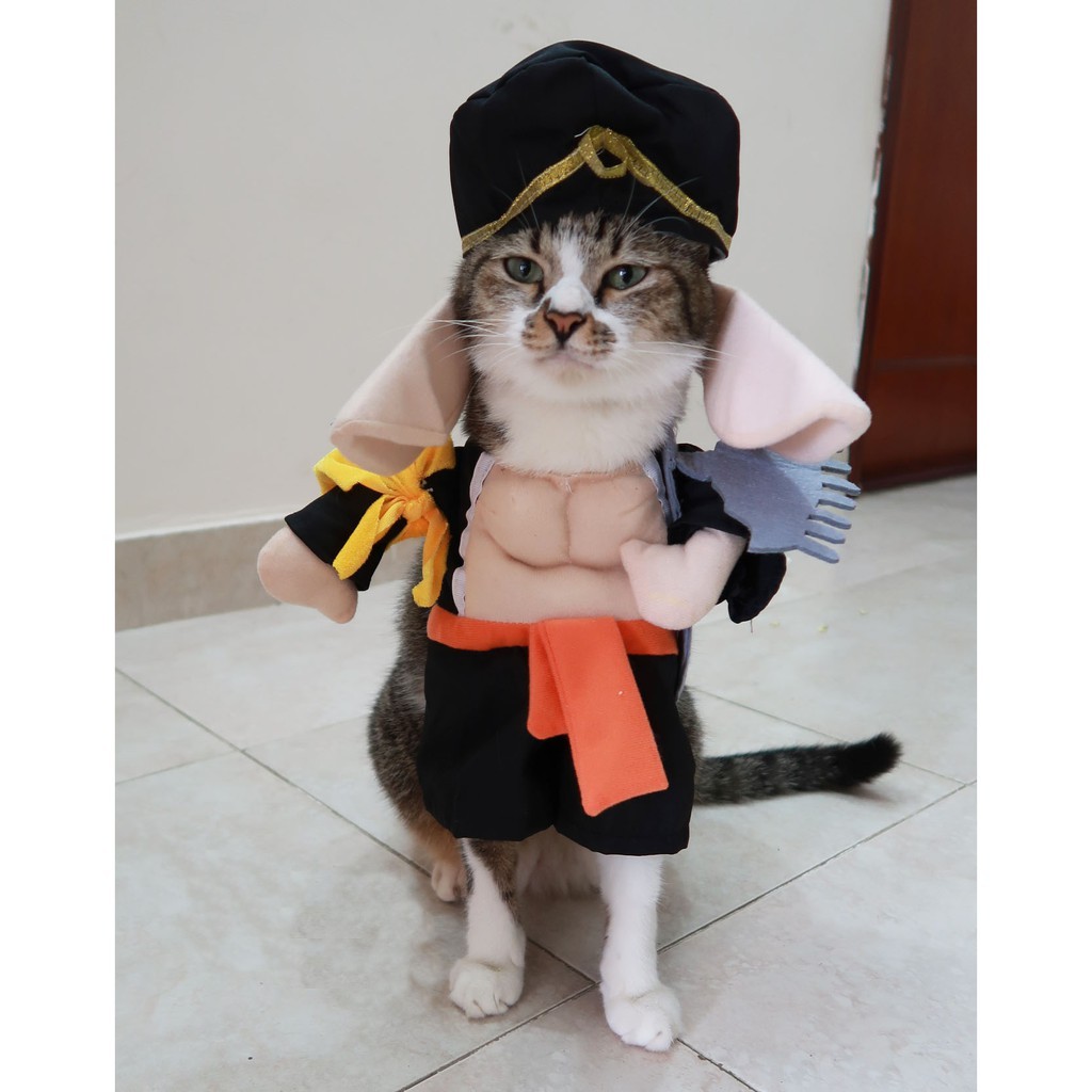 [GIÁ SỐC] Quần Áo Cosplay Trư Bát Giới cho Chó Mèo xinh xắn -  Gogi MEOW MART