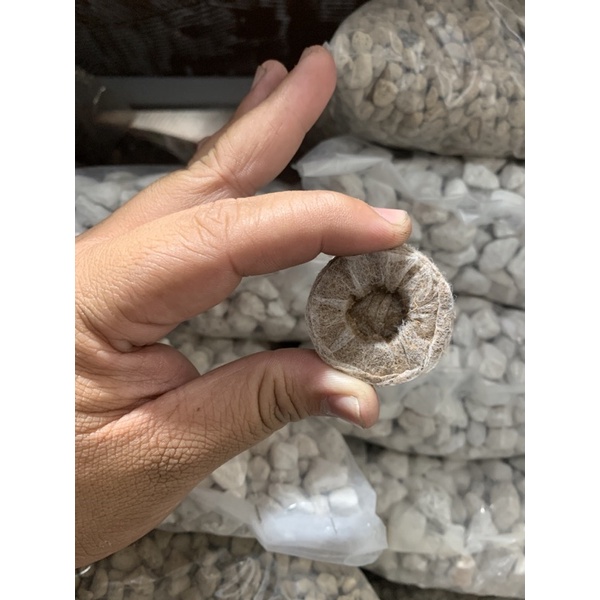 Viên nén sơ dừa đường kính 3,5cm