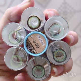 lens xanh lá