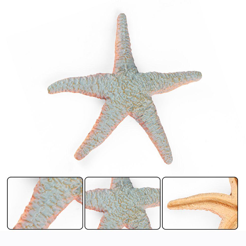 Mô Hình Sao Biển Đồ Chơi Giáo Dục Sớm Dành Cho Trẻ