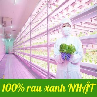 Bột rau xanh trị táo bón