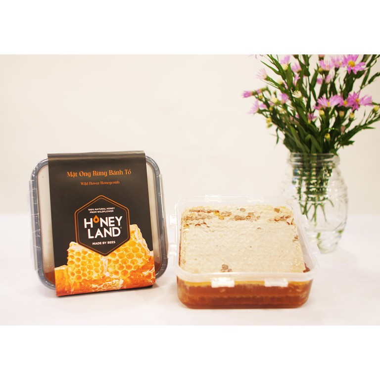 Mật ong Rừng Bánh tổ hộp 320g - Bộ 2 hộp [TẶNG KÈM 2 MẬT ONG HOA RỪNG 110G+1 PHẤN HOA 60G] | BigBuy360 - bigbuy360.vn