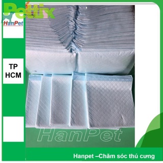 [ Bao Đổi Trả ] Hanpet.GV- 10 miếng tã lót khay vệ sinh size to 45x60cm, lót chuồng chó, lót sàn xe- (- 393c)