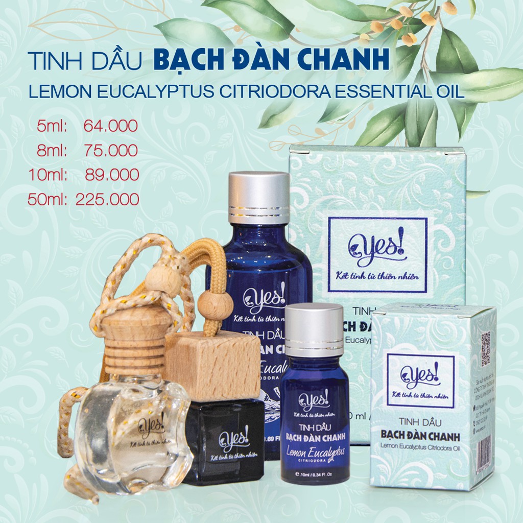 TINH DẦU BẠCH ĐÀN CHANH YES ( EUCALYPTUS CITRIODORA ESSENTIAL OIL )