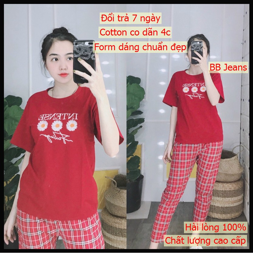 [COTTON] Đồ bộ nữ form rộng SET đồ bọ nữ kiểu set đi chơi cute iNTENSE form đẹp co dãn thoải mái Panda Store