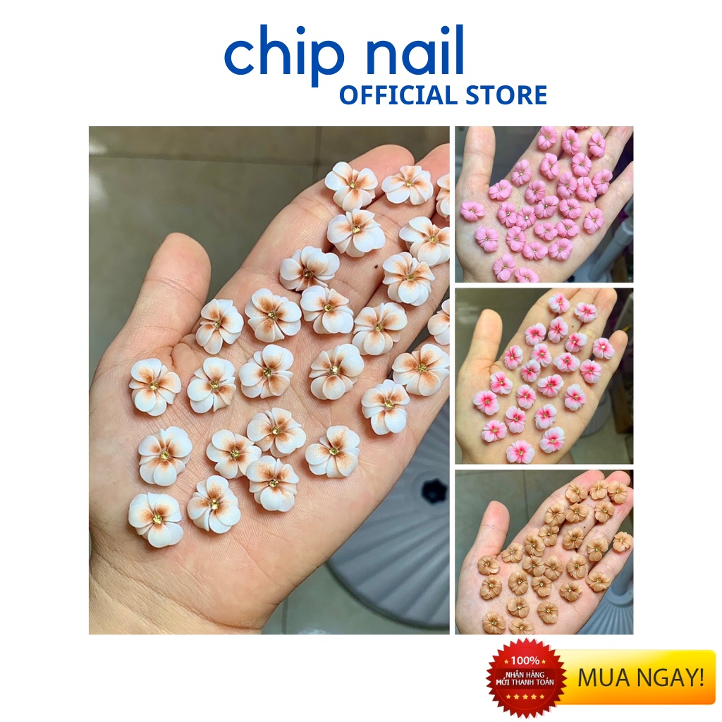 Hoa bột Nail - Hoa bột gắn móng nail [sẵn hàng]