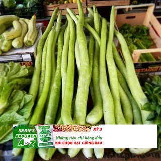 Hạt giống bầu dài 2m Bầu Siêu Dài 5 Hạt