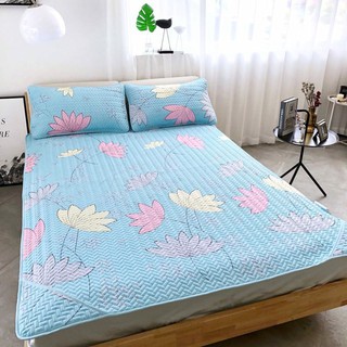 XẢ HÀNG LẺ SIZE - CHIẾU ĐIỀU HÒA TENCEL cao cấp + Tặng 02 vỏ gối