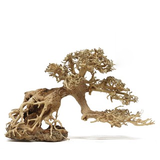 Lũa Bonsai mini cho bể cá thủy sinh 25x20