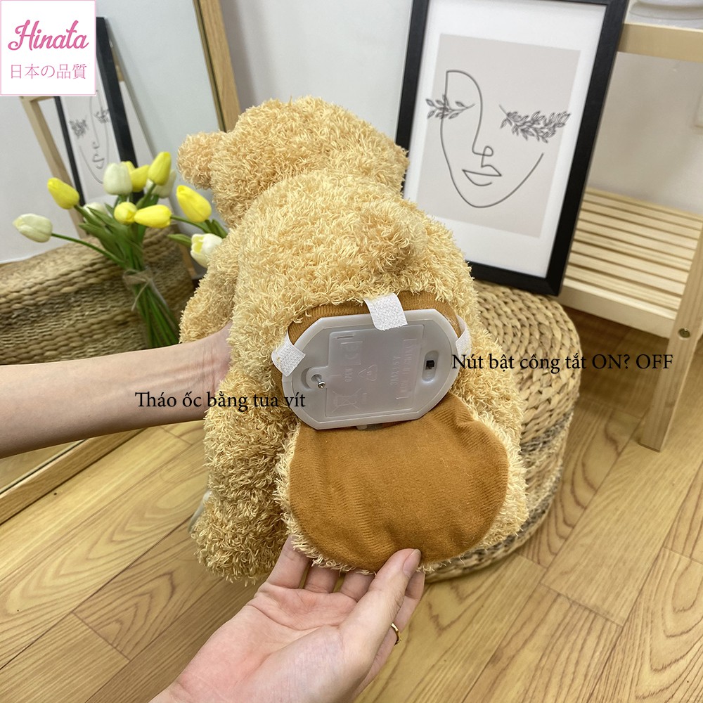 Đồ chơi gấu Peekaboo Tiếng Anh thông minh Hinata Nhật Bản TLEN15