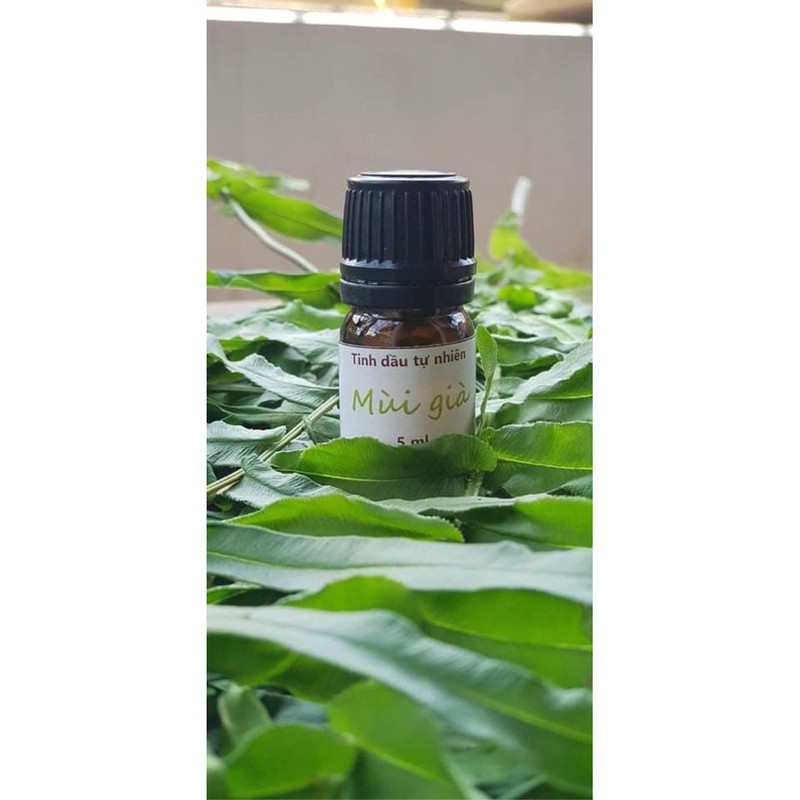Tinh dầu mùi già