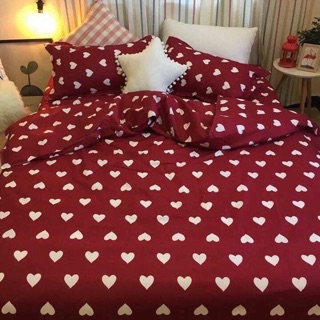 Set chăn-ga-vỏ gối Cotton Poly