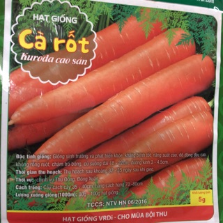 Hạt giống cà rốt 🥕 🌱